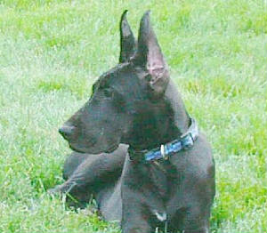 sophie_4_months03.jpg
