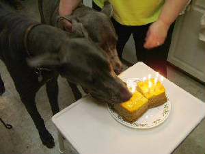 thunder_1st_birthday06a.jpg