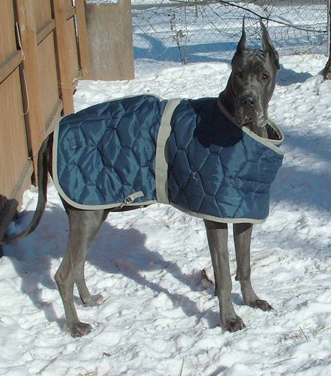 thunder_winter_coat_007c.jpg