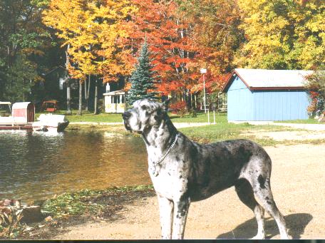 blue at 8 years